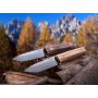LionSteel B40 Olive Wood Outdoormesser
